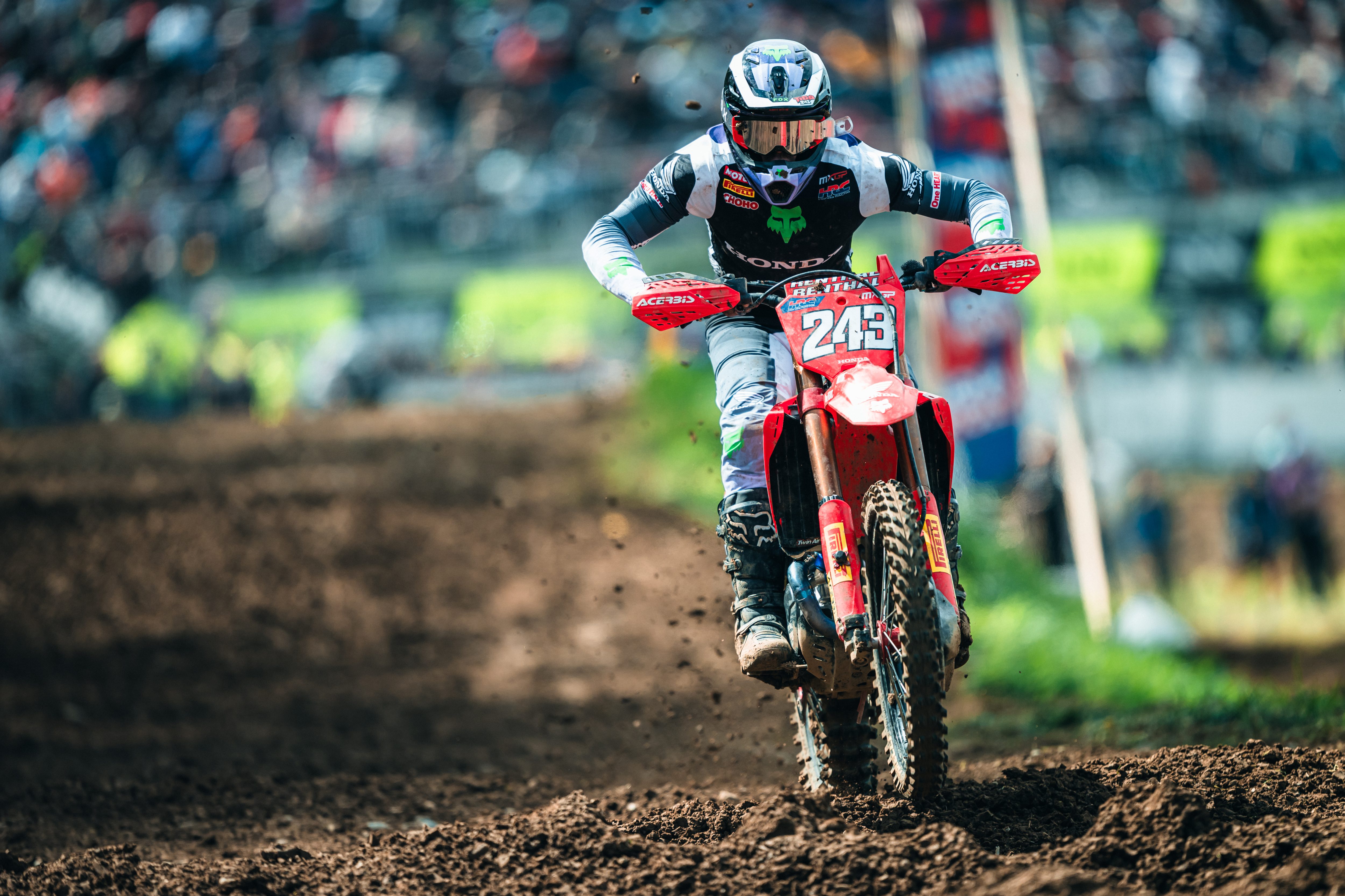 Tim Gajser #243 - GP Svizzera Frauenfeld